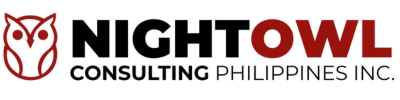 NightOwl Consulting